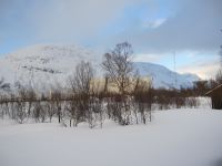 IMG_4135