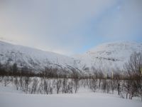 IMG_4136