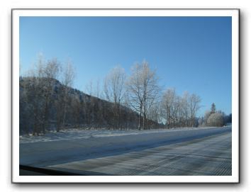 IMG_1683