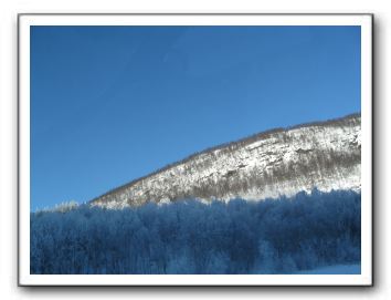 IMG_1687