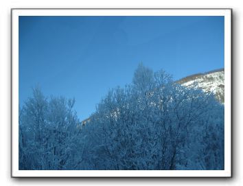 IMG_1688