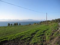 IMG_3934