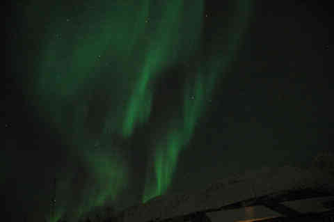 DSC_00060007.jpg