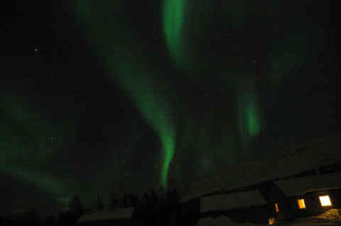 DSC_00090010.jpg