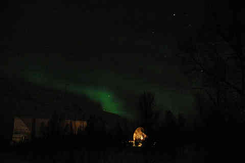 DSC_00140015.jpg