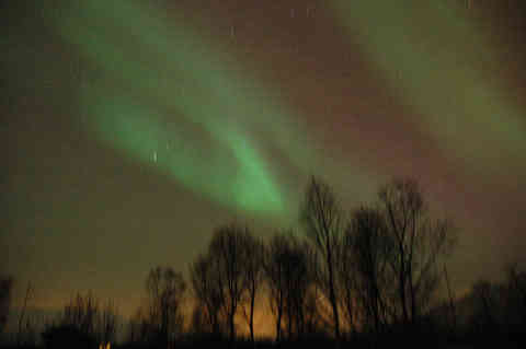 DSC_00170018.jpg