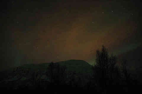DSC_00270028.jpg