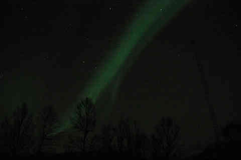 DSC_00340035.jpg