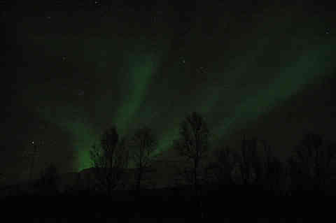 DSC_00390040.jpg