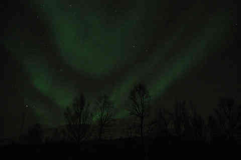 DSC_00440045.jpg