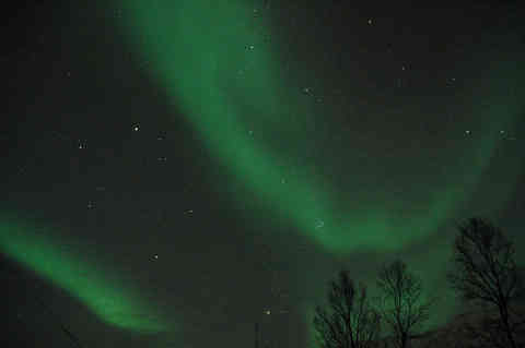 DSC_00480049.jpg