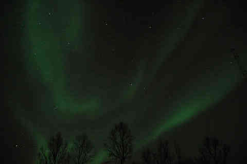 DSC_00490050.jpg