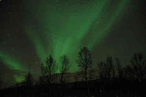 DSC_00540055.jpg