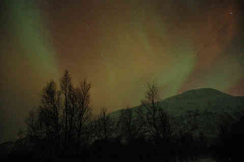 DSC_00550056.jpg