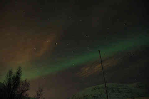 DSC_00560057.jpg