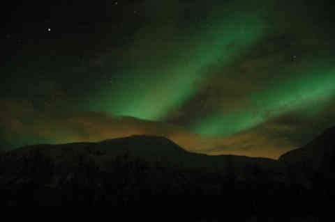 DSC_00050005.jpg