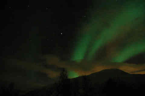 DSC_00080008.jpg