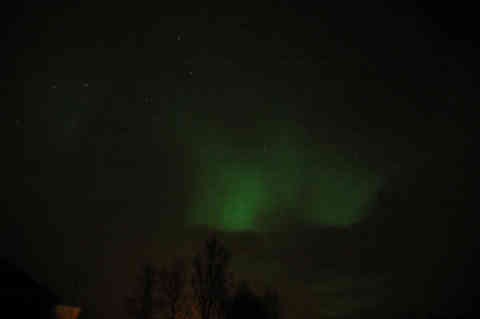 DSC_00130004.jpg