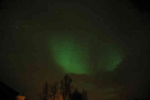 DSC_00140005.jpg