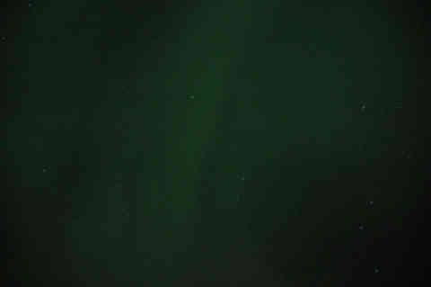 DSC_00620031.jpg
