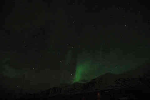 DSC_01600001.jpg