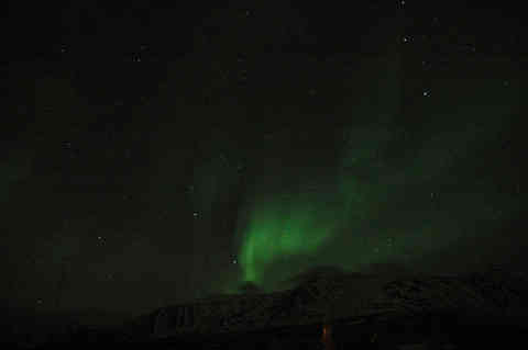 DSC_01610002.jpg