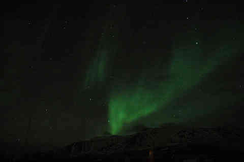 DSC_01620003.jpg