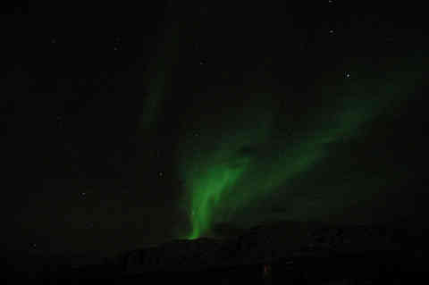DSC_01630004.jpg