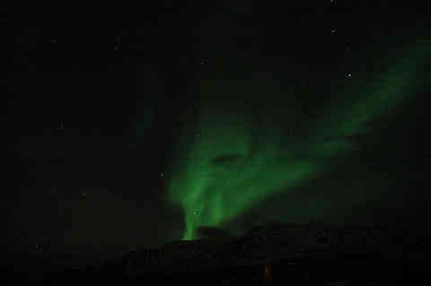 DSC_01640005.jpg