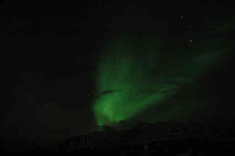 DSC_01650006.jpg