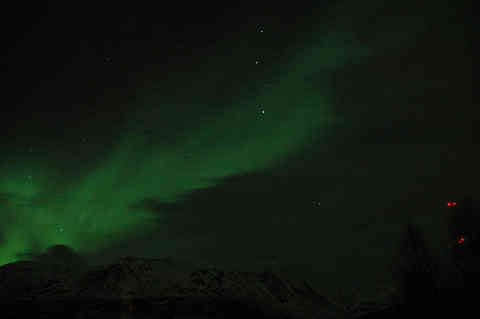 DSC_01680009.jpg