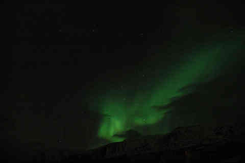 DSC_01700011.jpg
