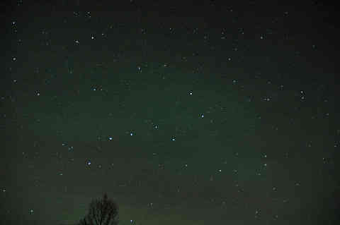DSC_01860009.jpg