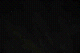 DSC_01940017_thumb.png