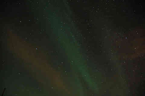 DSC_01950018.jpg