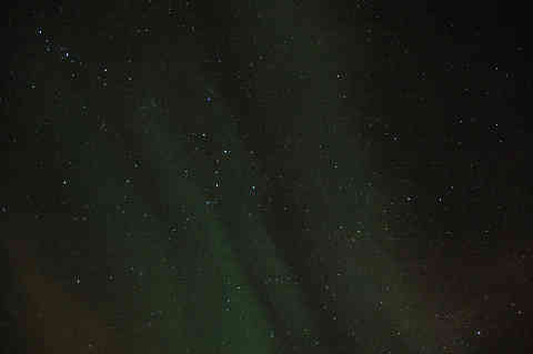 DSC_01960019.jpg