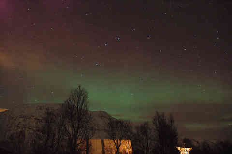DSC_01970020.jpg