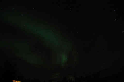 DSC_02020025.jpg