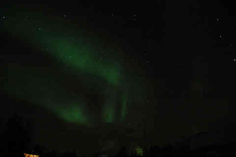 DSC_02030026.jpg