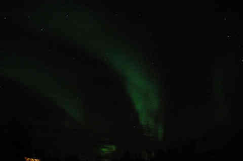 DSC_02050028.jpg