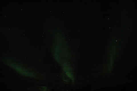 DSC_02070030.jpg