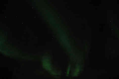 DSC_02110034.jpg