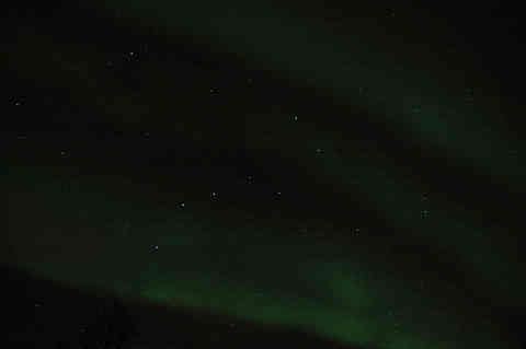 DSC_02130036.jpg