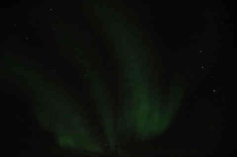 DSC_02140037.jpg