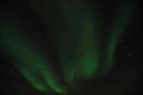 DSC_02150038.jpg