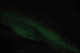 DSC_02170040_thumb.png