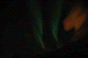 DSC_02310054_thumb.png