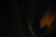 DSC_02320055_thumb.png