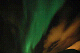 DSC_02360059_thumb.png