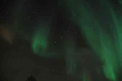 DSC_02930116.jpg